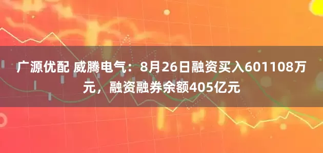 广源优配 威腾电气：8月26日融资买入601108万元，融资融券余额405亿元